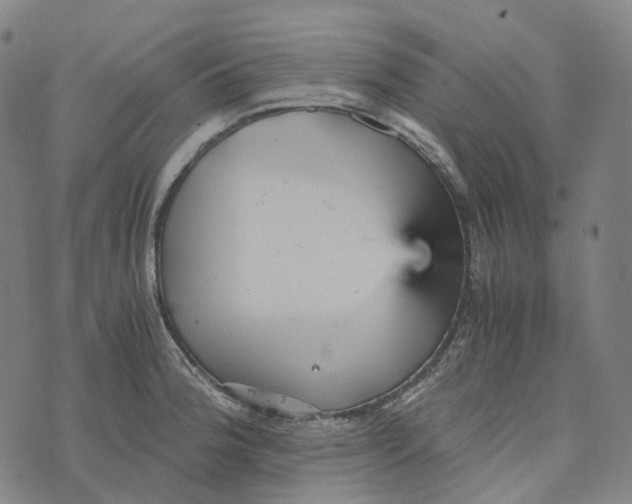 X0000073531188200608211822