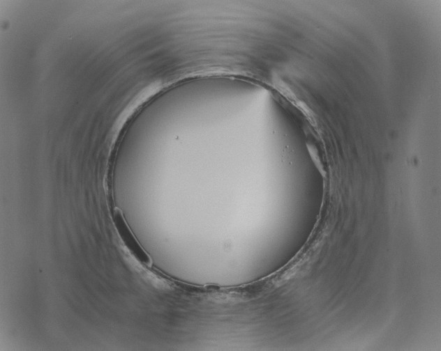 X0000073531189200608211822