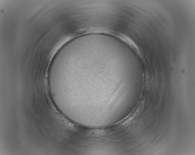 X0000073531190200608211822