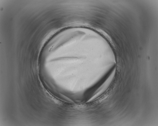 X0000073531191200608211822