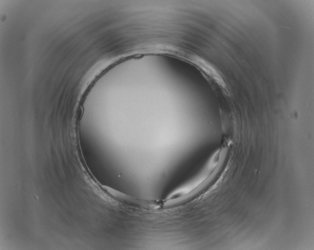 X0000073531192200608211822