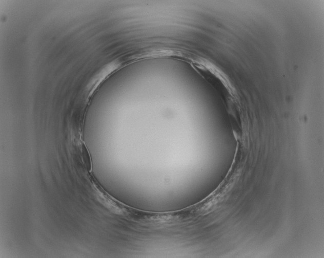 X0000073531193200608211822