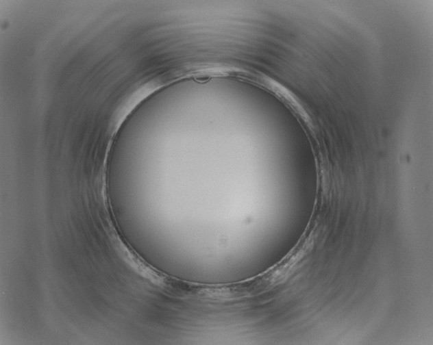 X0000073531194200608211822