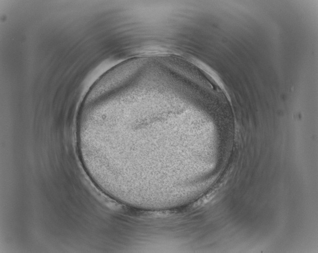 X0000073531195200608211822