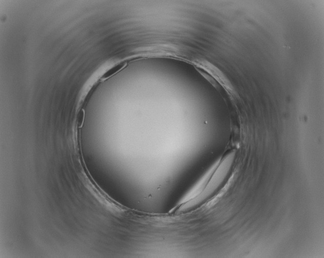 X0000073531196200608211822