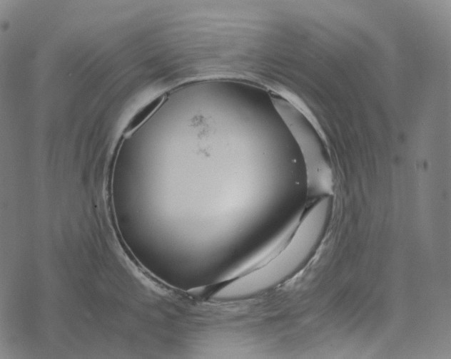 X0000073531197200608211822