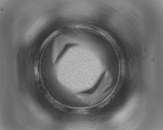 X0000073531198200608211822