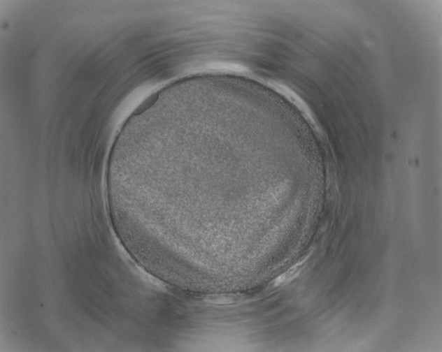 X0000073531199200608211822