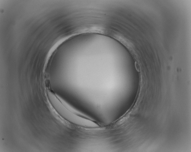 X0000073531200200608211822