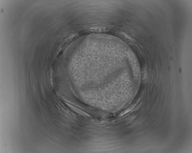 X0000073531202200608211821