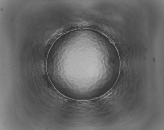 X0000073531205200608211821