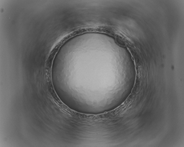 X0000073531208200608211821