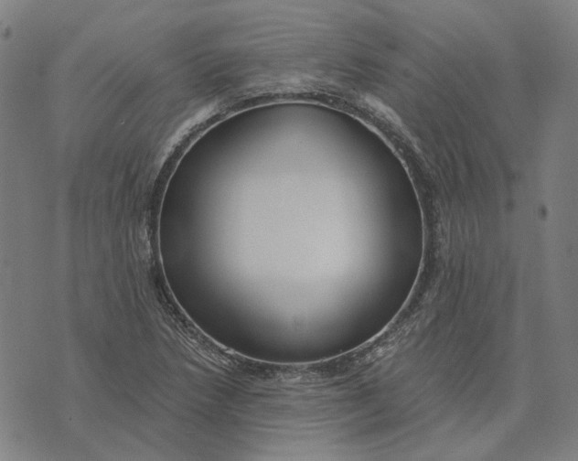 X0000073531218200608211821