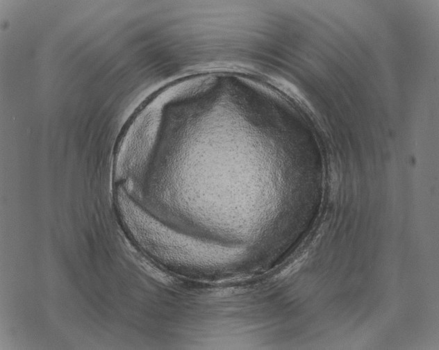 X0000073531228200608211821