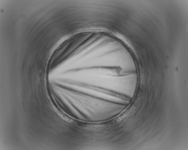 X0000073531237200608211821