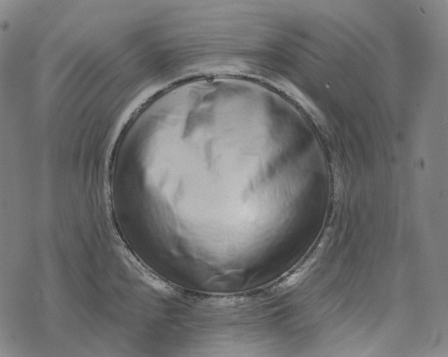 X0000073531240200608211822