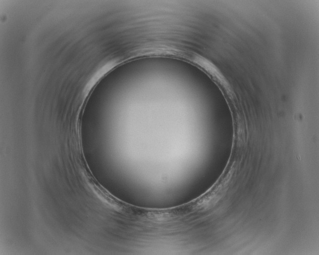 X0000073531242200608211822