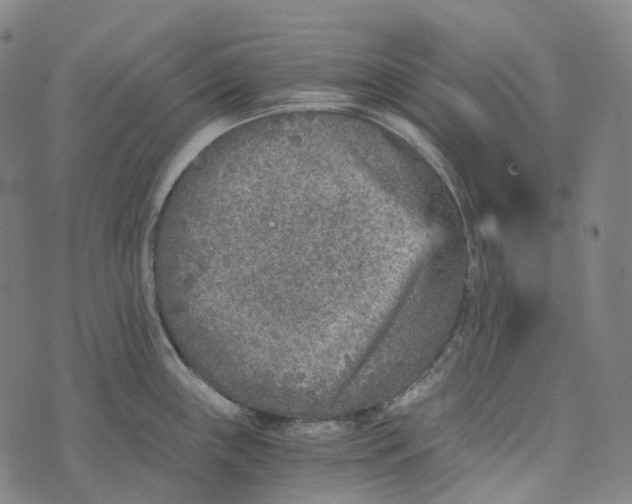 X0000073531243200608211822