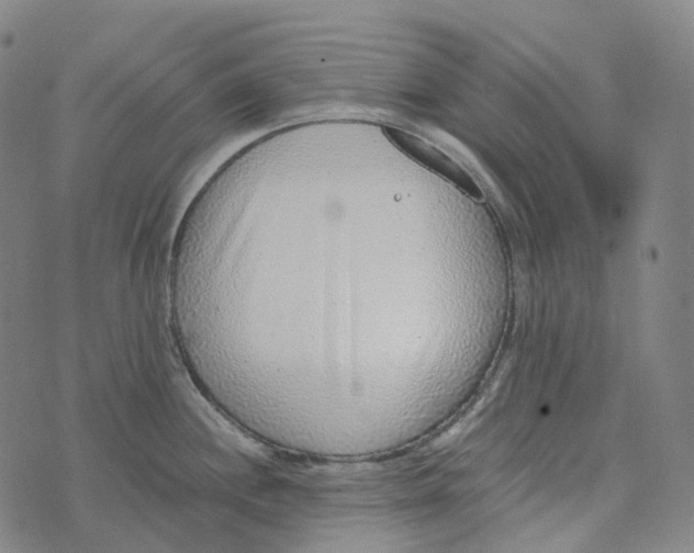 X0000073531244200608211822