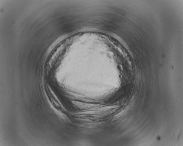 X0000073531245200608211822