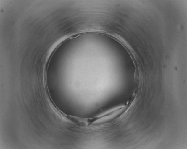 X0000073531246200608211822