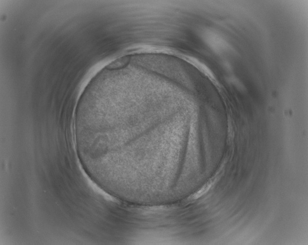 X0000073531247200608211822