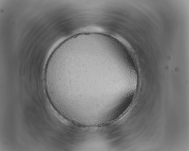 X0000073531248200608211822