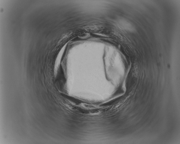 X0000073531297200608211819