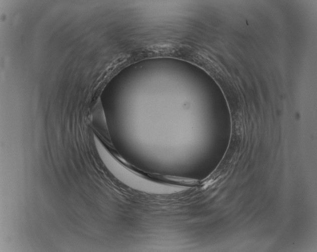 X0000073531298200608211819