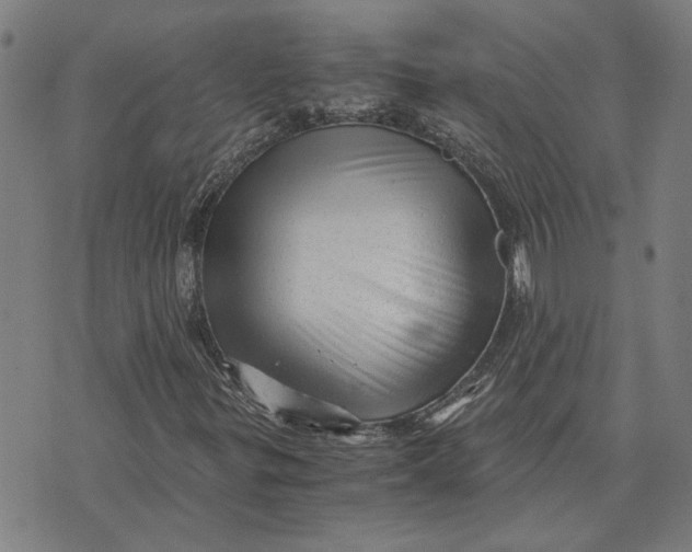 X0000073531299200608211819