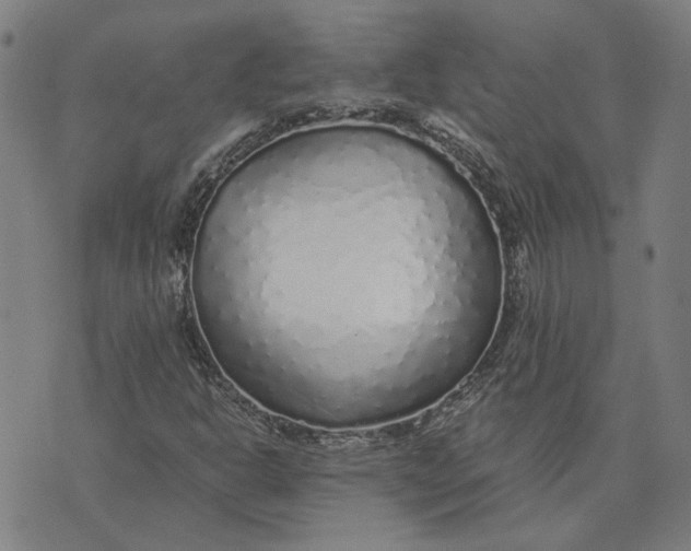 X0000073531302200608211819