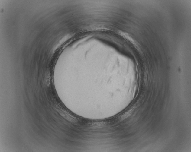X0000073531306200608211819