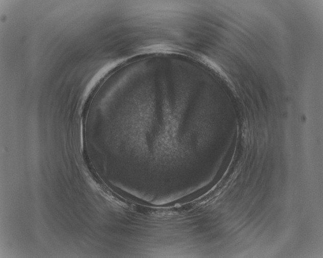 X0000073531323200608211820