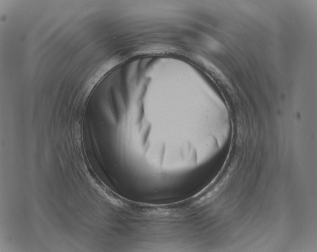 X0000073531329200608211820