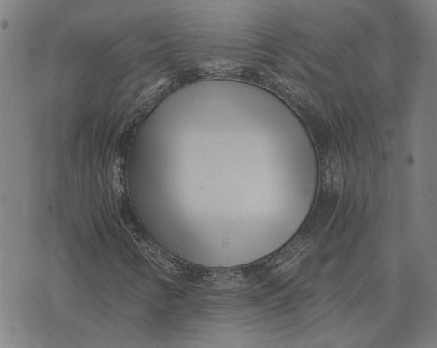 X0000073531346200608211819