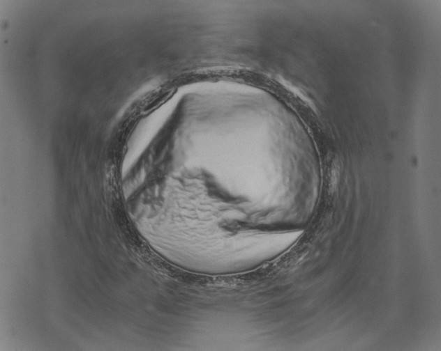 X0000073531351200608211819