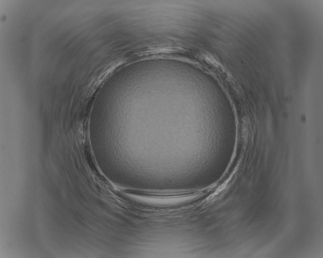 X0000073531353200608211819