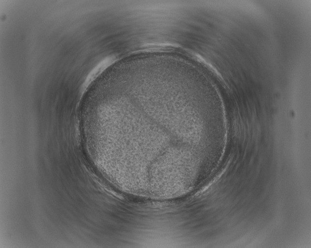 X0000073531362200608211819