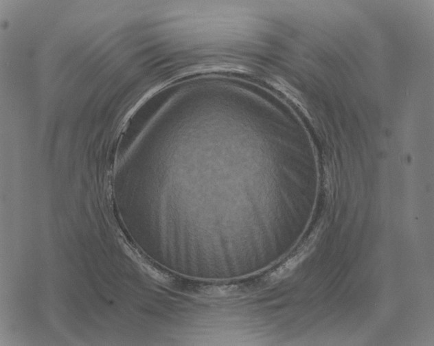 X0000073531369200608211819