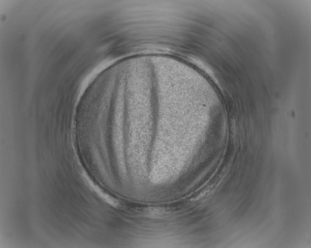 X0000073531379200608211819