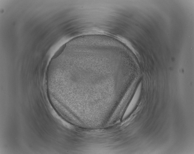 X0000073531387200608211819