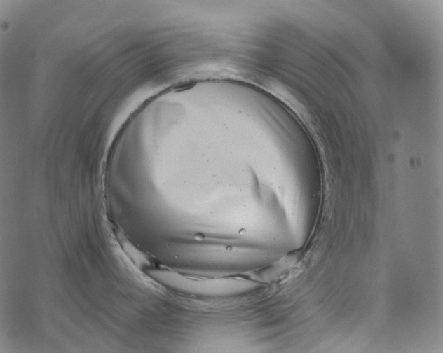 X0000073531392200608211819
