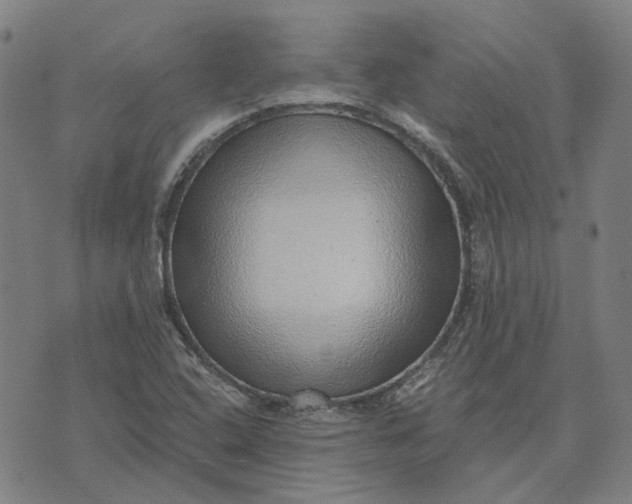 X0000073531408200608211818