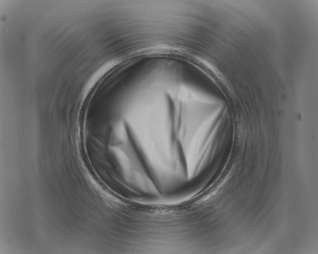 X0000073531418200608211818