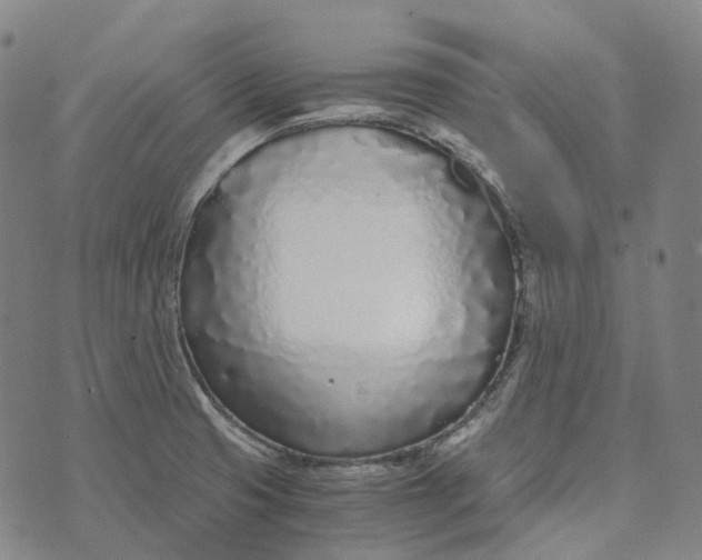 X0000073531425200608211818