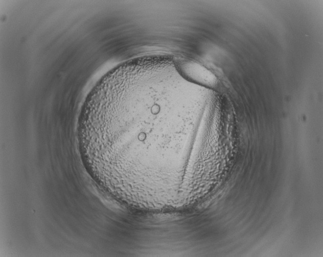 X0000073531427200608211818