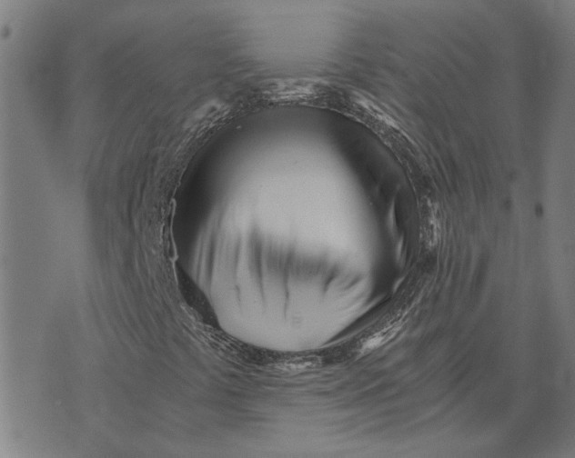 X0000073531441200608211818