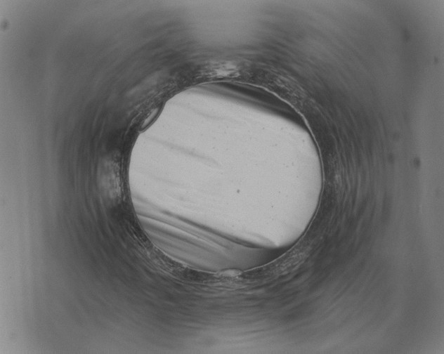 X0000073531442200608211818