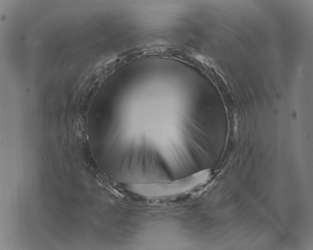 X0000073531445200608211818