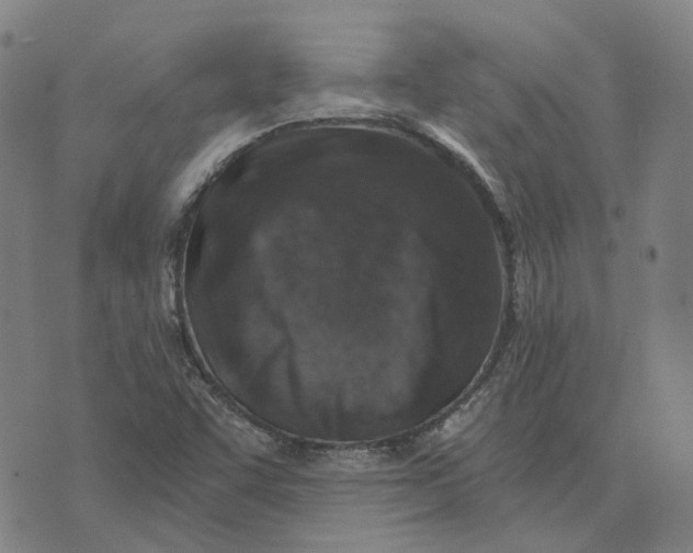 X0000073531455200608211818